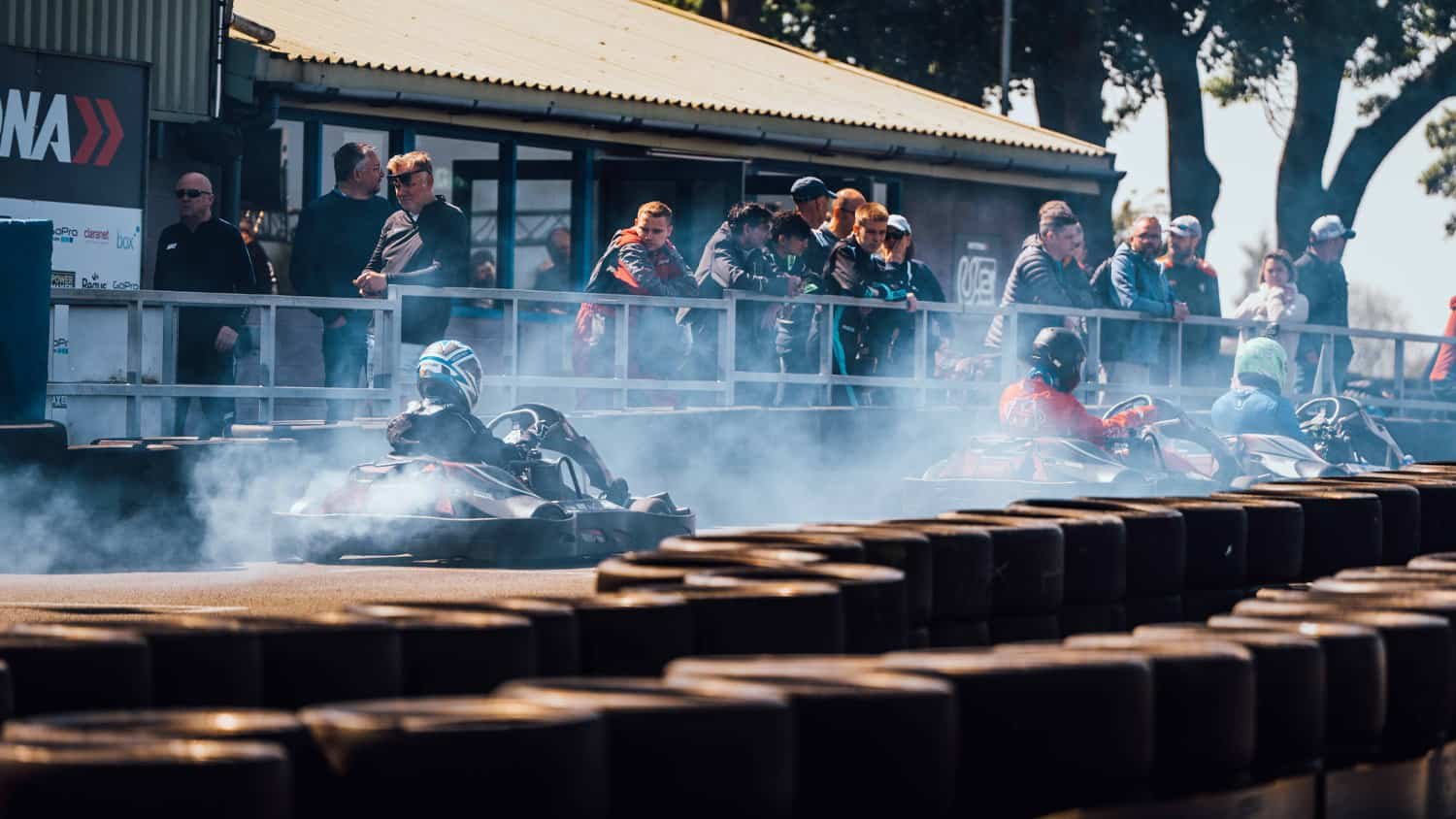 Daytona Tamworth photo 3